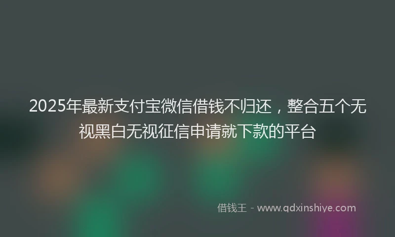 2025年最新支付宝微信借钱不归还，整合五个无视黑白无视征信申请就下款的平台