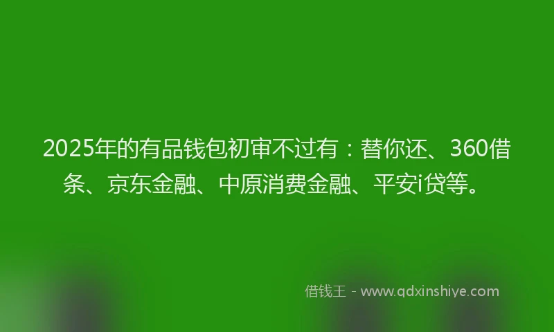 2025年的有品钱包初审不过有：替你还、360借条、京东金融、中原消费金融、平安i贷等。