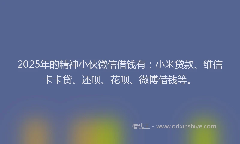 2025年的精神小伙微信借钱有：小米贷款、维信卡卡贷、还呗、花呗、微博借钱等。
