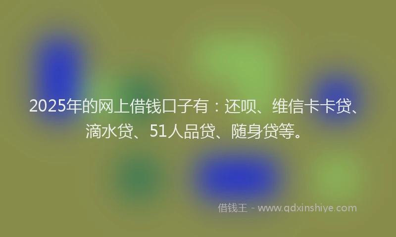 2025年的网上借钱口子有：还呗、维信卡卡贷、滴水贷、51人品贷、随身贷等。