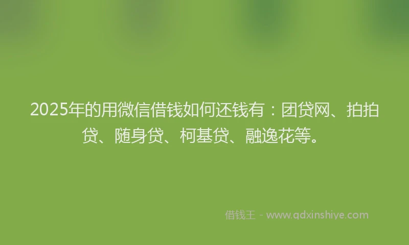 2025年的用微信借钱如何还钱有：团贷网、拍拍贷、随身贷、柯基贷、融逸花等。