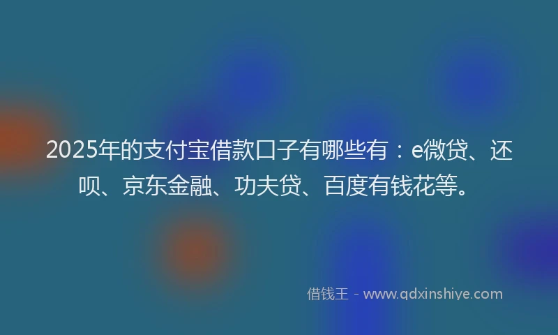 2025年的支付宝借款口子有哪些有：e微贷、还呗、京东金融、功夫贷、百度有钱花等。