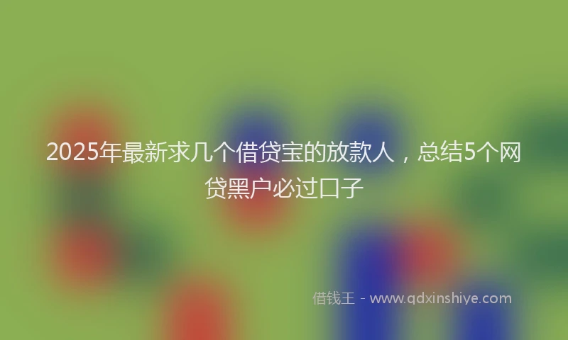 2025年最新求几个借贷宝的放款人，总结5个网贷黑户必过口子