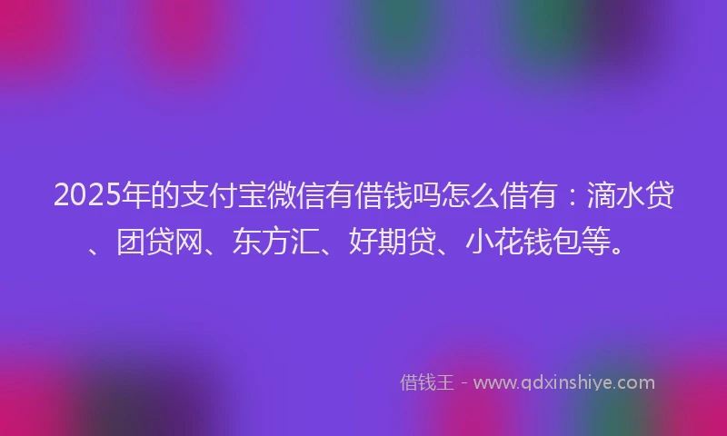 2025年的支付宝微信有借钱吗怎么借有：滴水贷、团贷网、东方汇、好期贷、小花钱包等。