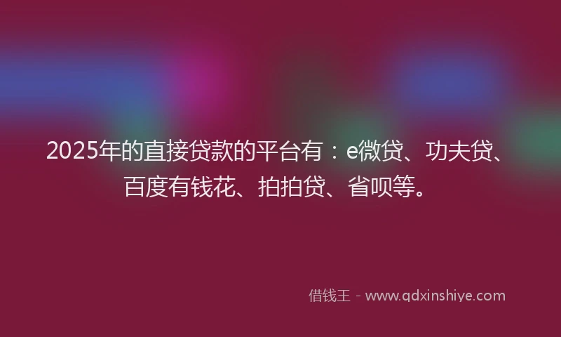 2025年的直接贷款的平台有：e微贷、功夫贷、百度有钱花、拍拍贷、省呗等。
