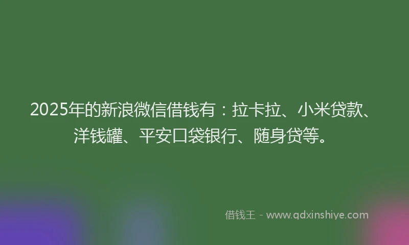 2025年的新浪微信借钱有：拉卡拉、小米贷款、洋钱罐、平安口袋银行、随身贷等。