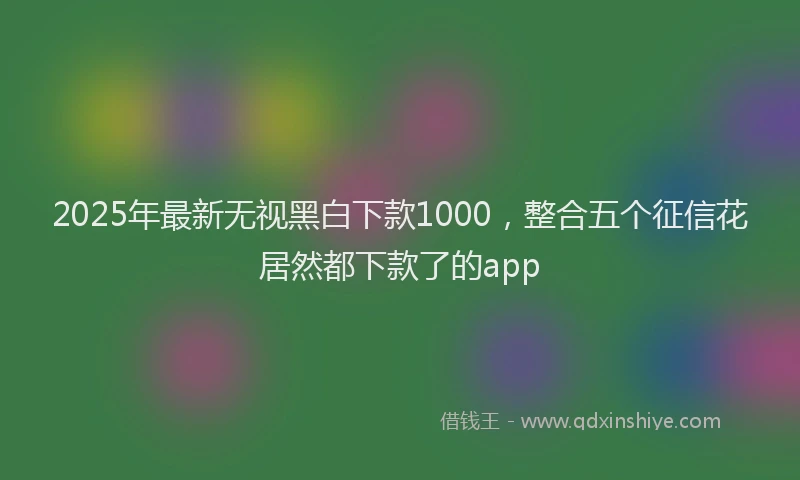 2025年最新无视黑白下款1000，整合五个征信花居然都下款了的app