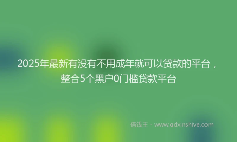 2025年最新有没有不用成年就可以贷款的平台，整合5个黑户0门槛贷款平台