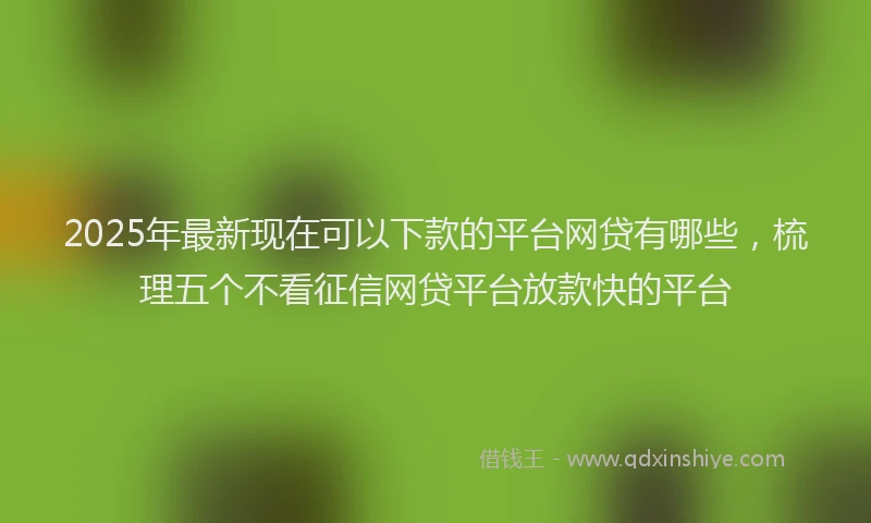 2025年最新现在可以下款的平台网贷有哪些，梳理五个不看征信网贷平台放款快的平台