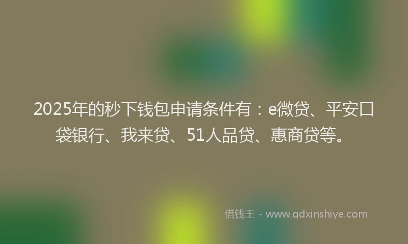 2025年的秒下钱包申请条件有：e微贷、平安口袋银行、我来贷、51人品贷、惠商贷等。