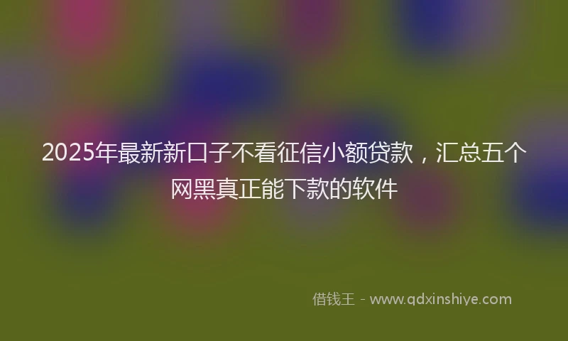 2025年最新新口子不看征信小额贷款，汇总五个网黑真正能下款的软件