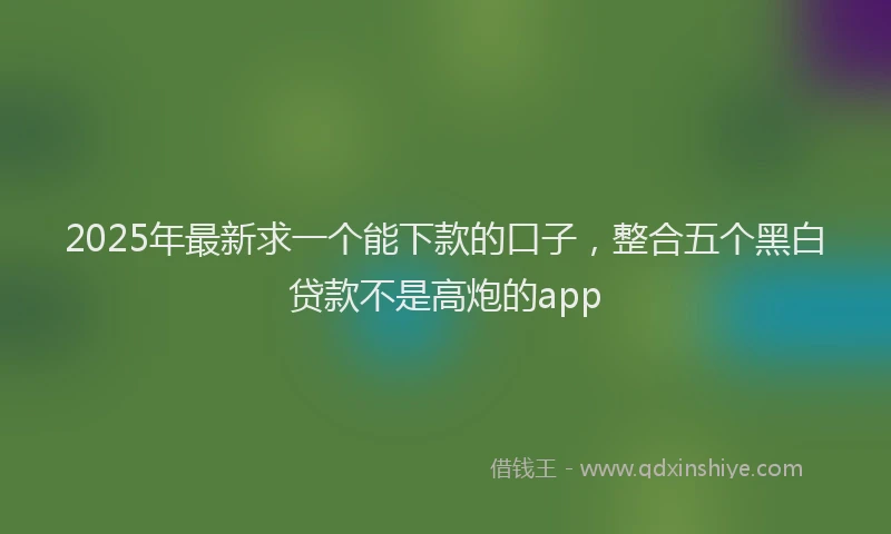 2025年最新求一个能下款的口子，整合五个黑白贷款不是高炮的app