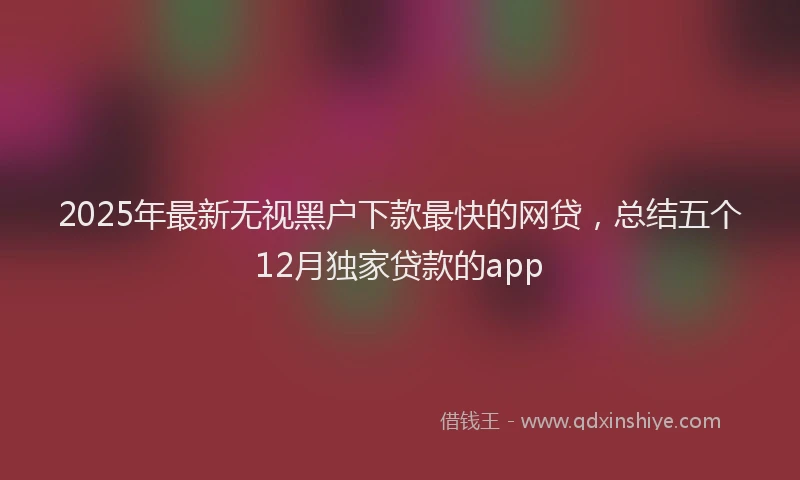 2025年最新无视黑户下款最快的网贷,总结五个12月独家贷款的app