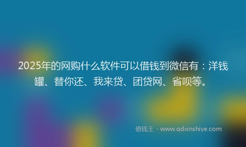2025年的网购什么软件可以借钱到微信有：洋钱罐、替你还、我来贷、团贷网、省呗等。