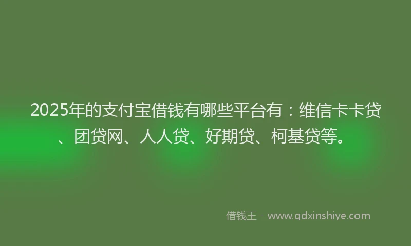 2025年的支付宝借钱有哪些平台有：维信卡卡贷、团贷网、人人贷、好期贷、柯基贷等。