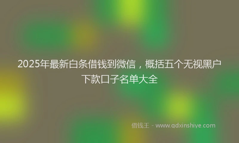 2025年最新白条借钱到微信，概括五个无视黑户下款口子名单大全