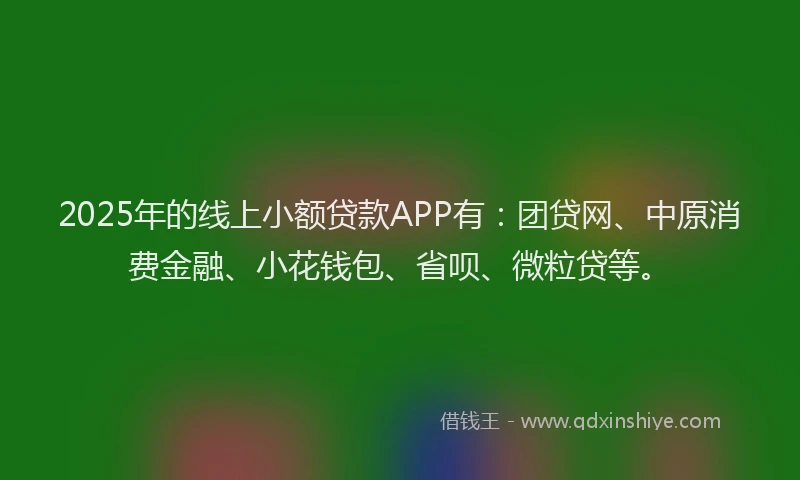 2025年的线上小额贷款APP有：团贷网、中原消费金融、小花钱包、省呗、微粒贷等。
