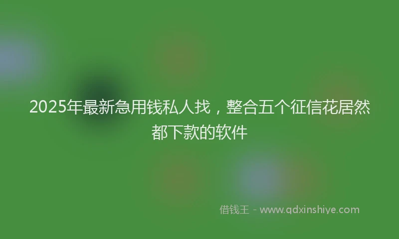 2025年最新急用钱私人找，整合五个征信花居然都下款的软件