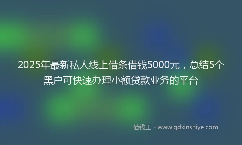 2025年最新私人线上借条借钱5000元，总结5个黑户可快速办理小额贷款业务的平台