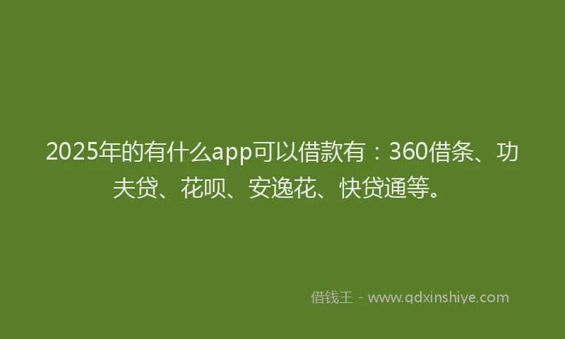 2025年的有什么app可以借款有：360借条、功夫贷、花呗、安逸花、快贷通等。