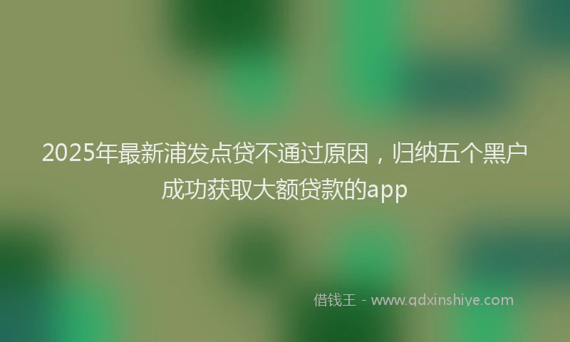 2025年最新浦发点贷不通过原因，归纳五个黑户成功获取大额贷款的app