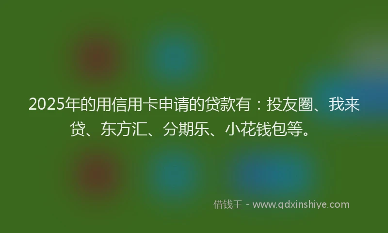2025年的用信用卡申请的贷款有：投友圈、我来贷、东方汇、分期乐、小花钱包等。
