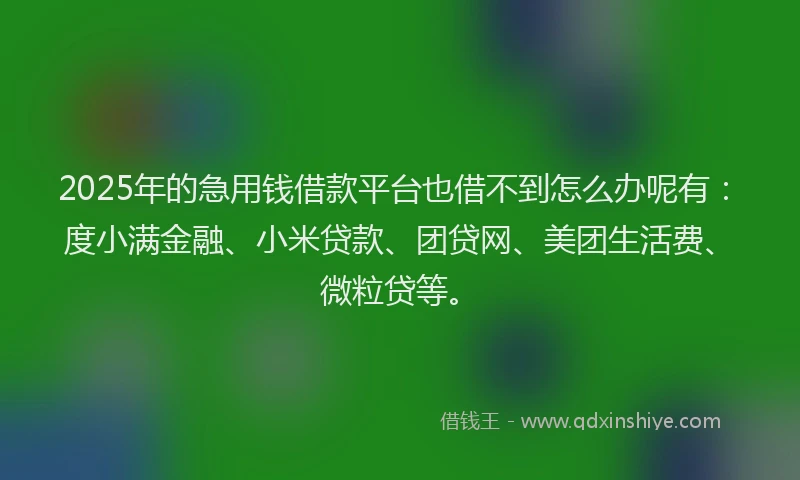 2025年的急用钱借款平台也借不到怎么办呢有：度小满金融、小米贷款、团贷网、美团生活费、微粒贷等。