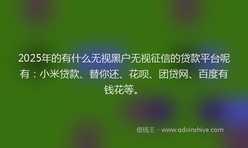 2025年的有什么无视黑户无视征信的贷款平台呢有：小米贷款、替你还、花呗、团贷网、百度有钱花等。
