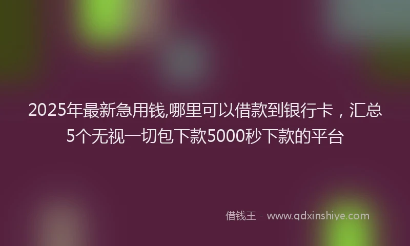 2025年最新急用钱,哪里可以借款到银行卡，汇总5个无视一切包下款5000秒下款的平台