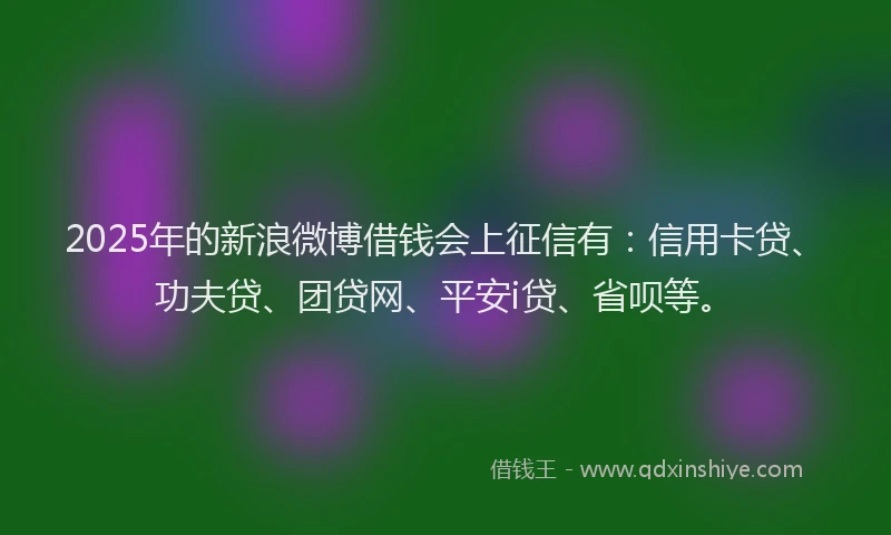 2025年的新浪微博借钱会上征信有：信用卡贷、功夫贷、团贷网、平安i贷、省呗等。