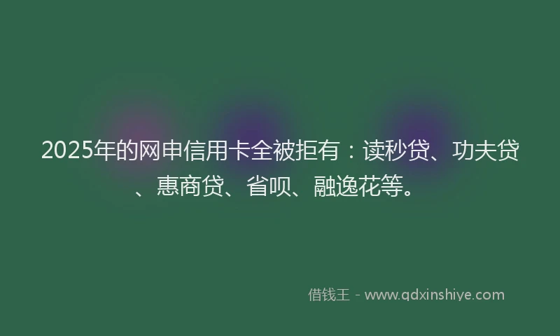 2025年的网申信用卡全被拒有:读秒贷、功夫贷、惠商贷、省呗、融逸花等。