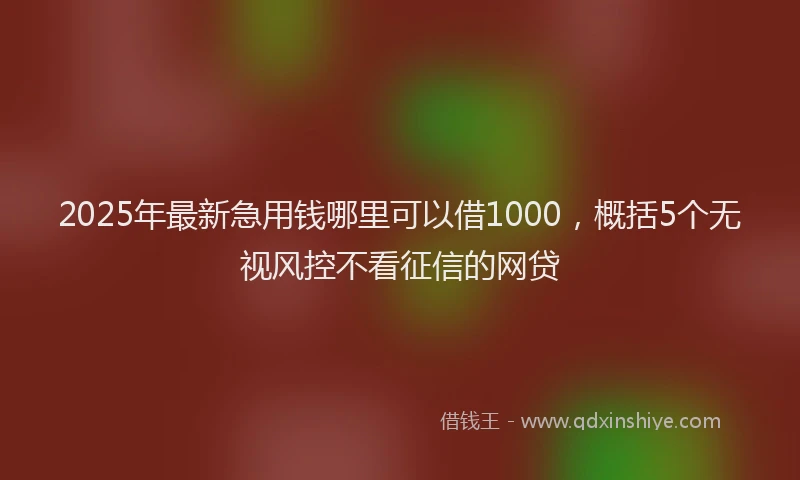 2025年最新急用钱哪里可以借1000，概括5个无视风控不看征信的网贷