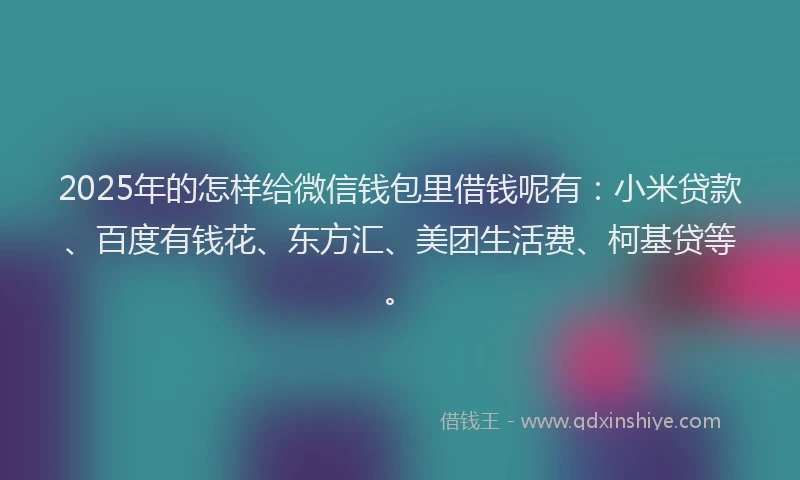 2025年的怎样给微信钱包里借钱呢有：小米贷款、百度有钱花、东方汇、美团生活费、柯基贷等。