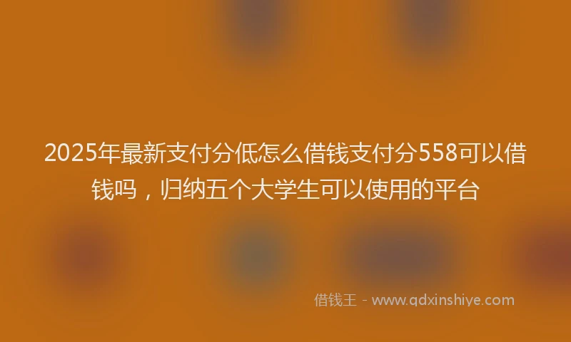 2025年最新支付分低怎么借钱支付分558可以借钱吗，归纳五个大学生可以使用的平台