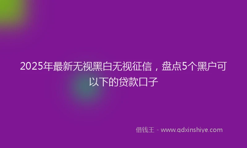2025年最新无视黑白无视征信，盘点5个黑户可以下的贷款口子