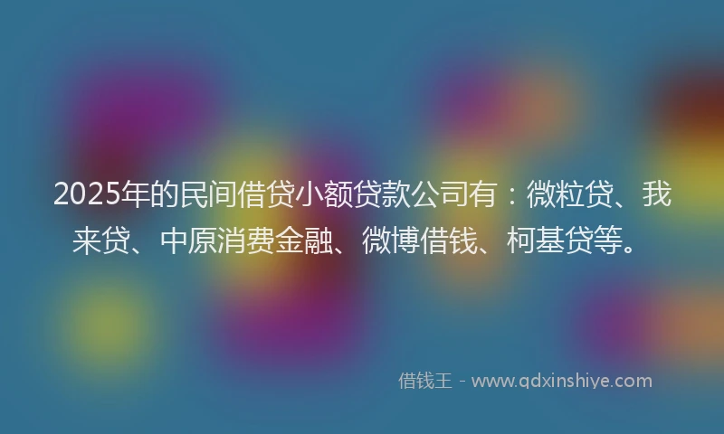 2025年的民间借贷小额贷款公司有：微粒贷、我来贷、中原消费金融、微博借钱、柯基贷等。