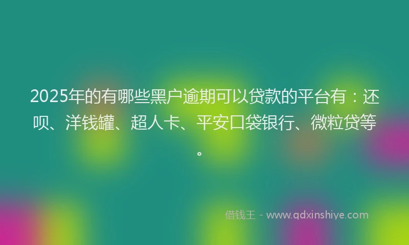 2025年的有哪些黑户逾期可以贷款的平台有：还呗、洋钱罐、超人卡、平安口袋银行、微粒贷等。
