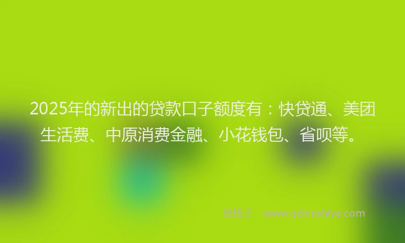 2025年的新出的贷款口子额度有：快贷通、美团生活费、中原消费金融、小花钱包、省呗等。