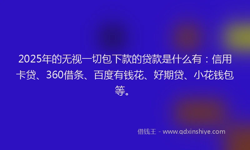 2025年的无视一切包下款的贷款是什么有：信用卡贷、360借条、百度有钱花、好期贷、小花钱包等。