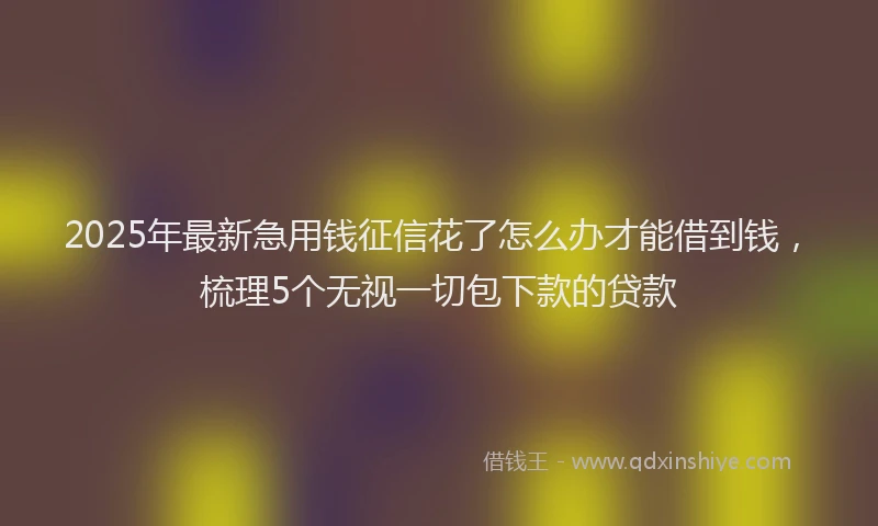2025年最新急用钱征信花了怎么办才能借到钱，梳理5个无视一切包下款的贷款