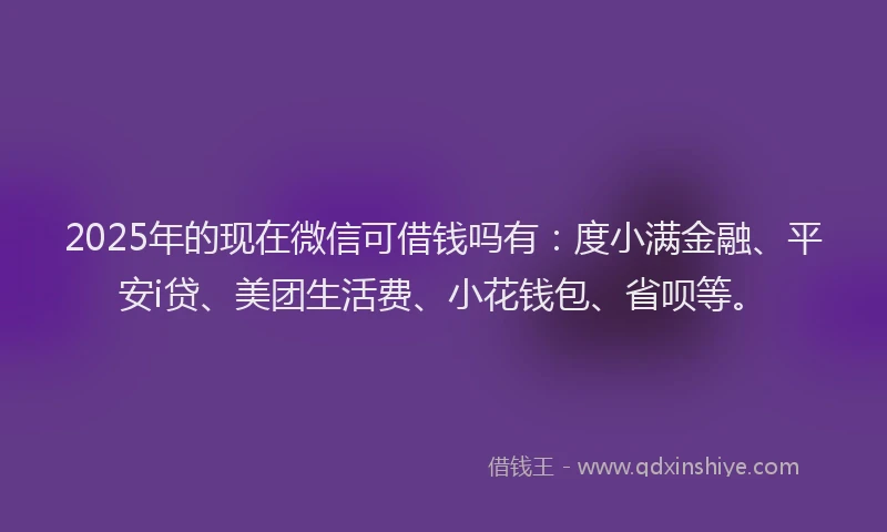 2025年的现在微信可借钱吗有：度小满金融、平安i贷、美团生活费、小花钱包、省呗等。