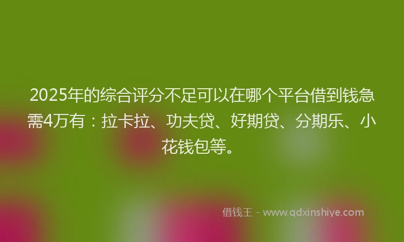 2025年的综合评分不足可以在哪个平台借到钱急需4万有：拉卡拉、功夫贷、好期贷、分期乐、小花钱包等。