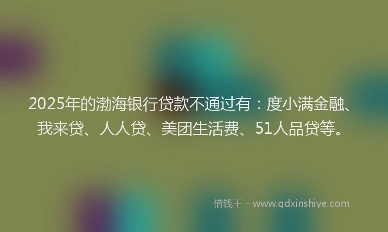 2025年的渤海银行贷款不通过有：度小满金融、我来贷、人人贷、美团生活费、51人品贷等。