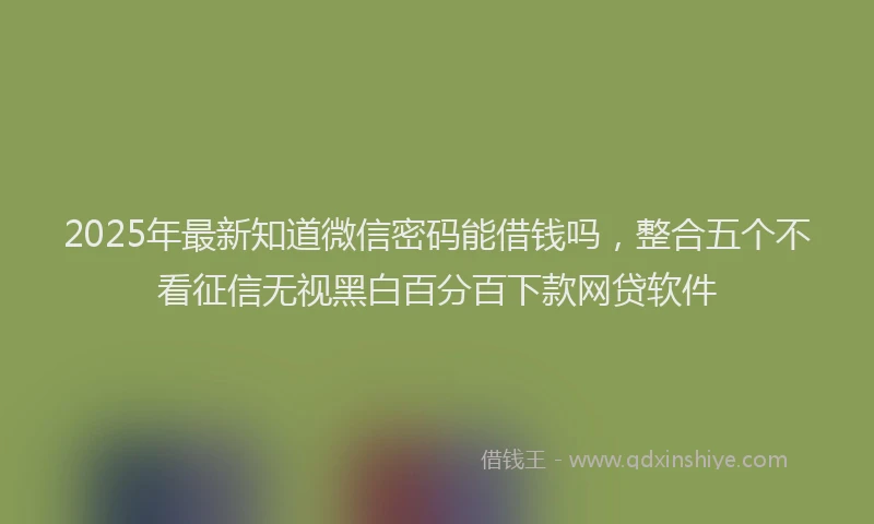 2025年最新知道微信密码能借钱吗，整合五个不看征信无视黑白百分百下款网贷软件