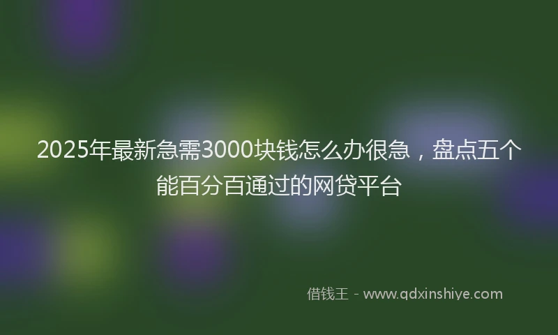 2025年最新急需3000块钱怎么办很急，盘点五个能百分百通过的网贷平台