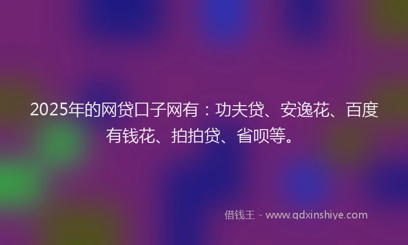 2025年的网贷口子网有：功夫贷、安逸花、百度有钱花、拍拍贷、省呗等。