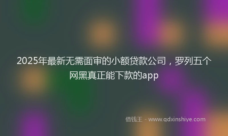 2025年最新无需面审的小额贷款公司，罗列五个网黑真正能下款的app