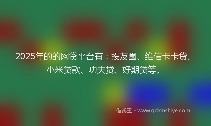 2025年的的网贷平台有：投友圈、维信卡卡贷、小米贷款、功夫贷、好期贷等。