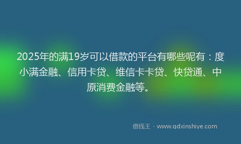2025年的满19岁可以借款的平台有哪些呢有：度小满金融、信用卡贷、维信卡卡贷、快贷通、中原消费金融等。
