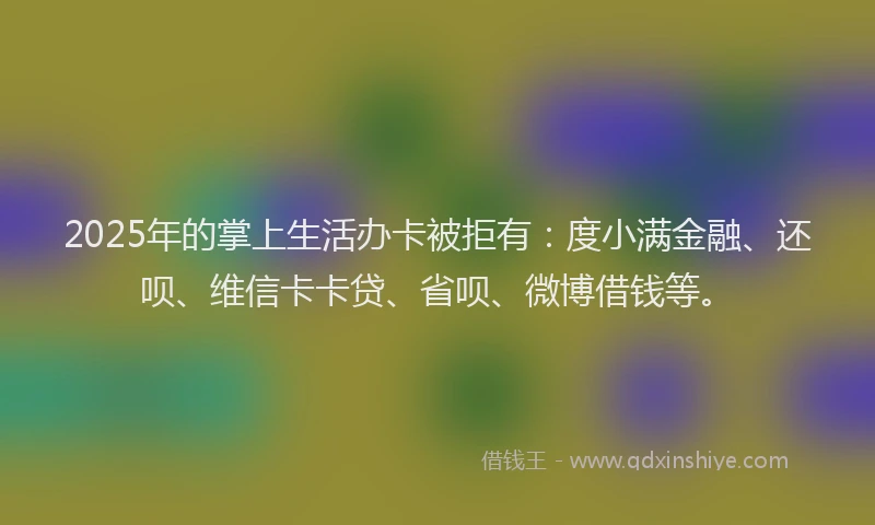2025年的掌上生活办卡被拒有：度小满金融、还呗、维信卡卡贷、省呗、微博借钱等。